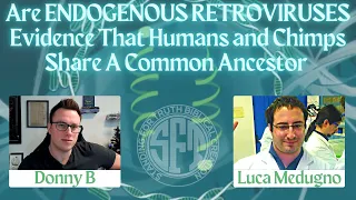 DEBATE | Are Endogenous Retroviruses Good Evidence for Evolution? - Donny Budinsky vs. Luca Medugno