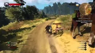 The Witcher 3: Wild Hunt Brutal Kill Montage