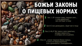 ПИЩЕВЫЕ НОРМЫ В СВЕТЕ ТЕКСТОВ БИБЛИИ / 4K