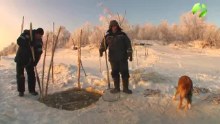 С полем! "Загар" Часть 1