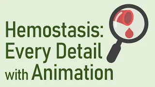 This Video Will SAVE 20 HOURS of Your Reading Time || Hemostasis: Animation Series Compilation