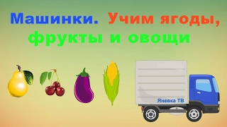 Мультфильмы про машинки.  Учим ягоды, фрукты и овощи