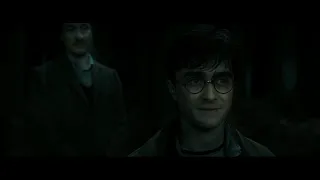 Harry Potter and the Deathly Hallows Part 2 (Avengers The Endgame Style)