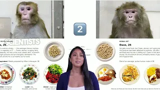 Does Caloric Restriction work? Monkey Trials NIH