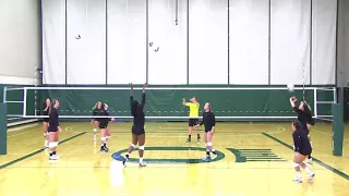 Oregon Ducks Volleyball Ball Control Routine