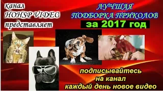 ПРИКОЛЫ 2017 ИЮЛЬ № 12 ржака до слез угар прикол ПРИКОЛЮХА HOHSP VIDEO