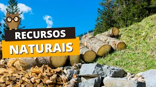 O que SÃO RECURSOS NATURAIS? Saiba a importância para a manutenção da vida aqui no planeta.