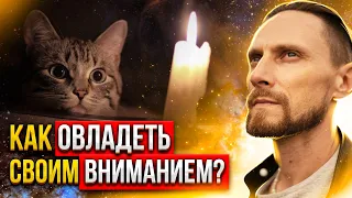 🟣 Как прокачать фокус? Зачем тренировать концентрацию внимания? [2023] 🟣