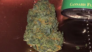 Illinois Recreational Cannabis Review: Blue Gelato 41 By IESO