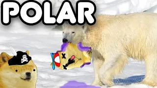 NIÑO con DERECHO es COMIDA de OSO POLAR - Hilos con cheems