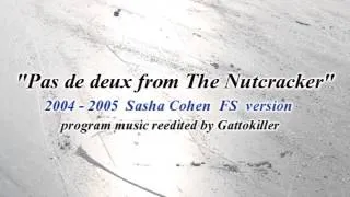 Sasha Cohen [2004-2005 FS]