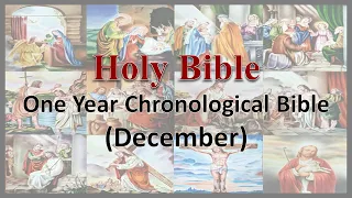 AudioBible   Day 358   One Year Chronological Bible 12 December 24   NLT Complete Version