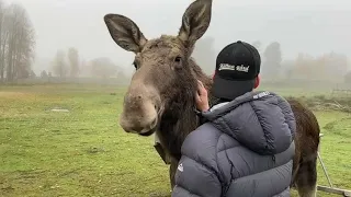 When your best friend weights 600kg ♥️