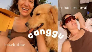 A Day in My Life, Living in Canggu, Bali