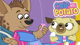 Chip and Potato | Chip's School Trip // Big Sister Chip | Cartoons For Kids | Watch More on Netflix