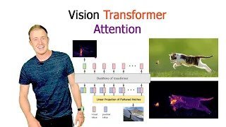 Vision Transformer Attention