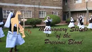 Jerusalema missionary sisters