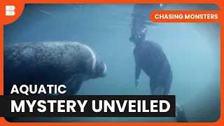 Mystery Creature Wake - Chasing Monsters - S03 EP05 - Nature & Adventure Documentary