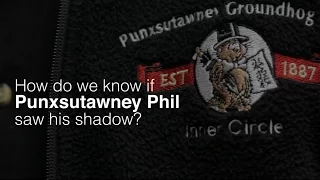 Groundhog Day: How do you know if Punxsutawney Phil saw his shadow?