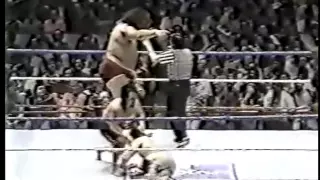 Andre the Giant Rick McGraw vs Mr Fuji Mr Saito