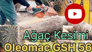 Odun Motoruyla Ağaç Kestik Oleo Mac GSH 56 Kesim Ve Biçme Performansı #oleomac #oleomacgsh56 #stihl