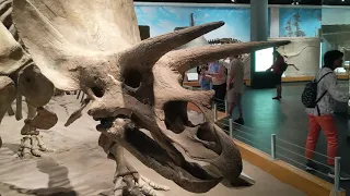 Royal Tyrrell Museum, Alberta, Canadá - Agosto 2019 (Northumbria - Frozen Lake)