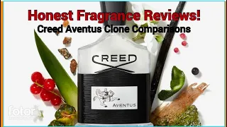 Middle Eastern Creed Aventus Clone Showdown! I compare three unique Aventus style fragrances!