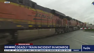 Pedestrian killed by train