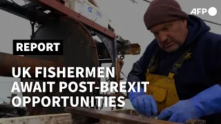 UK fishermen angling for big catch post Brexit | AFP