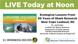 Lunchtime Discovery: Ecological Lessons From 50 Years of Shark Research Near Cape Lookout
