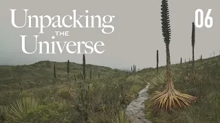 EP 6. How does climate change fit in? | Unpacking the Universe: The Making of an Exhibition