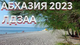 АБХАЗИЯ 2023 🌴. Накормили котят! Сосновый пляж ЛДЗАА.