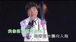 謝雷 - 落花流水 (楊燕．謝雷 - 歌舞昇平夜上海演唱會)