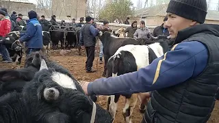 Наманган вилояти поп тумани гурумсарой мол бозори нархлари
