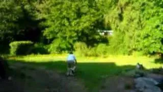 Off Road Tricycle