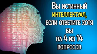 Интеллектуальный Тест для Истинных Знатоков | Храм Огня