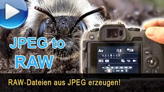 RAW aus JPEG-Bildern erzeugen! Incl. HDR-Stack!