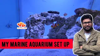 My Marine Tank Set up After 1 Year - Tamil