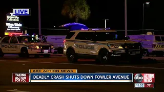 Deadly crash on Fowler Av