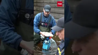 🌊 Велика вода на Черкащині! Відрізані водою цілі вулиці