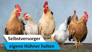 Hühner halten für Anfänger (im Garten) 🐔 Landleben / Selbstversorger