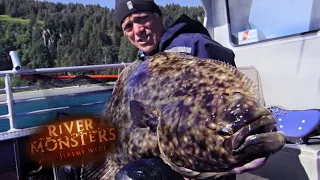 Jeremy Reels In a Mammoth Halibut! | HALIBUT | River Monsters