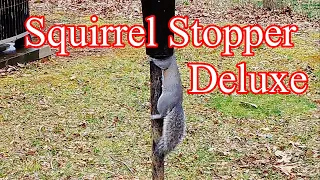 Baffled by the "Squirrel Stopper Deluxe" Feeder