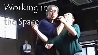 Masaaki Hatsumi The Movement Explained: Working in the Space