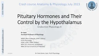 Pituitary & Hypothalamus - Endocrine Physiology- Crash Course July 2023