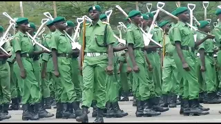 Meet a wonderful parade from Nys kenya