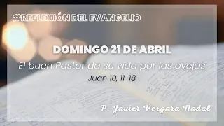 Domingo cuarto de Pascua || #ReflexiónDelEvangelio - 21 de abril