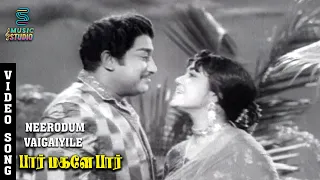 Neerodum Vaikaiyile Video Song | Paar Magaley Paar | Sivaji Ganesan, Sowcar Janaki | Music Studio