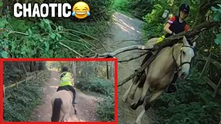 almost hit by bikes, spooking, stopping & fallen tree | GO PRO | equinemollie