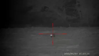 fox control with pard 008 nightvision 2022